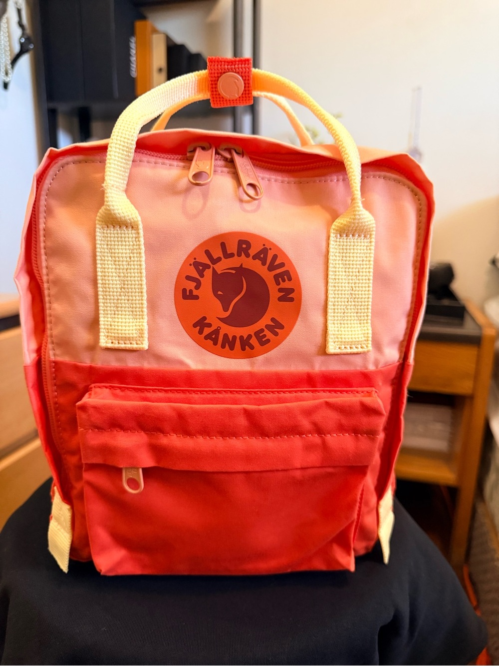 Fjällräven Kånken Mini Backpack - New Without Tags